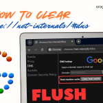 Clear Chrome Net Internals DNS Error