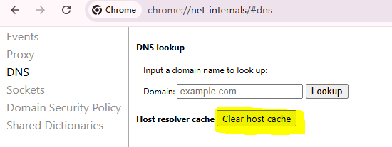 Clear Chrome Internals DNS Cache